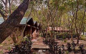 Dancing Dugong Hotel Sitapur  India